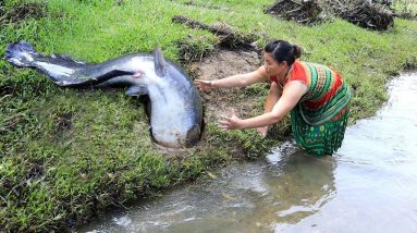 Survival Skills - Finding Fish Meet Catfish And Catch Unique Fish