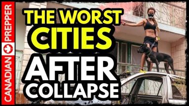 The Worst Cities to Survive Societal Collapse