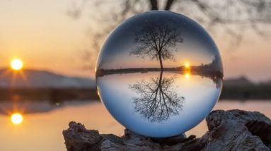 What’s Coming for the Remainder of 2021 : Store Food Now  (Kevin Snow FULL)