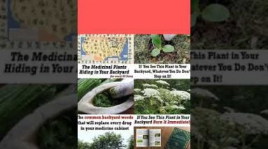 The Lost Book Of Remedies||Home remedies Natural medicine#گھریلو  ٹوٹکے  #shorts #aounHealth&Fitnes#