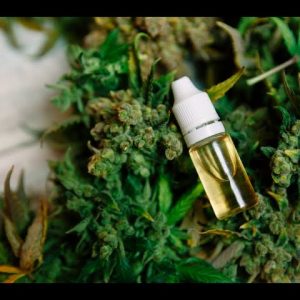 The Lost Ways Claude Davis Free Pdf - The Lost Ways Review || The Lost Ways Book By Claude Davis