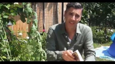 🌿  Healing Plants - All Natural Pain Killer - The Lost Ways  #WildLettuce #Foraging #FirstNations