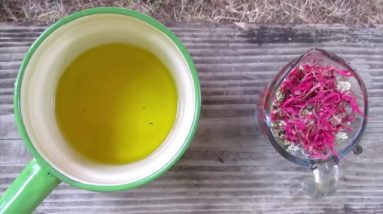 lost book of redemie   naturel remedies