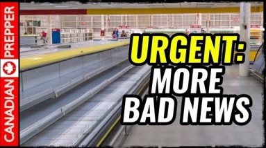 Shelves Emptying, Prices Skyrocketing: Prepare Before it Hits