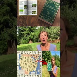 The Lost Book Of Herbal Remedies By Nicole Apelian (01)