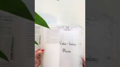 The Lost Book of Remedies Herbal Medicine by Claude Davis