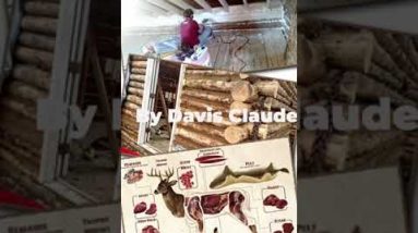 The Lost way 2 Survival Book Review See My Description