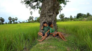 Survival Thinking - Kids Find Foods To Eat - Kids Lost The Ways Back Home  [ Day 1]