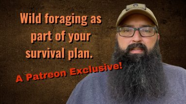 Wild foraging as part of your survival plan.