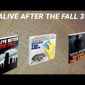 Alive After The Fall 3 Review