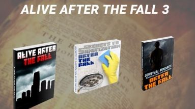 Alive After The Fall 3 Review