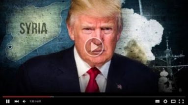 Alive After the Fall