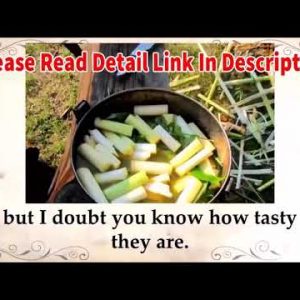 The Lost Book of Herbal Remedies Review 2021   Great Natural Herbal medicine / Scam Alart 🚫