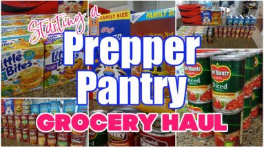 STARTING A PREPPER PANTRY | PREPPER PANTRY GROCERY HAUL 2021 | PUBLIX BOGO GROCERY HAUL