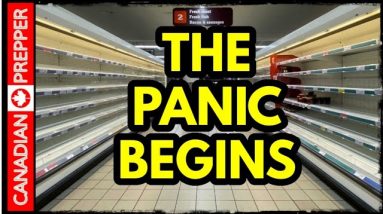 Its All Crashing Down! Total Supply Chain Chaos