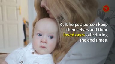 Alive After The Fall 3 Review || Alive After The Fall 3 Book Alexander Cain