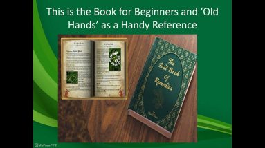 Lost Book of Remedies