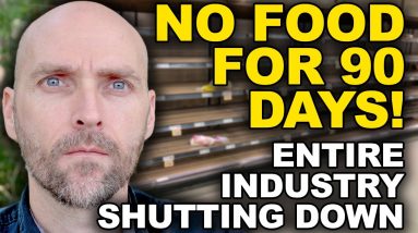 NO FOOD DELIVERY FOR 90 DAYS - INDUSTRY SHUTDOWN - NUCLEAR ACCDIENT NEAR CHINA