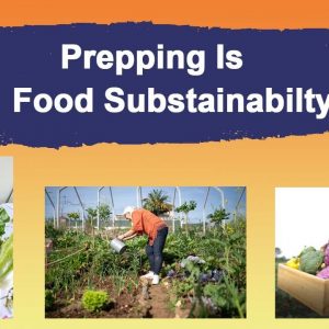 Prepping Is Food Sustainability - Grow a Survival Garden