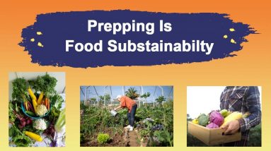 Prepping Is Food Sustainability - Grow a Survival Garden