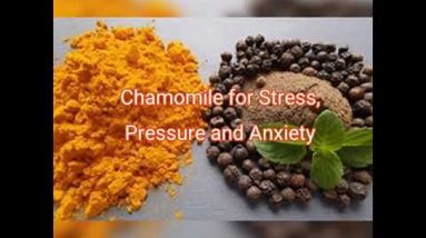 Survival of the Fittest with Survival With Home Remedies