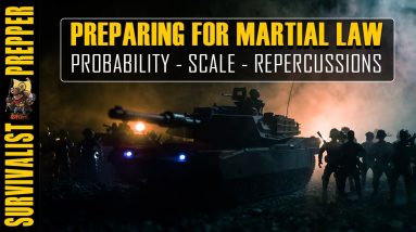 Surviving Martial Law: The Probability & Scale