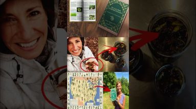 The Lost Book of Remedies 13