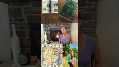The Lost Book of Remedies 14