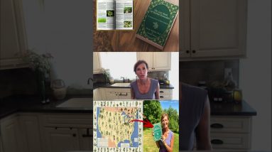 The Lost Book of Remedies 7