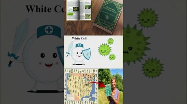 The Lost Book of Remedies 8