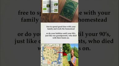 The Lost Book of Remedies 9