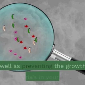 The lost book of remedies