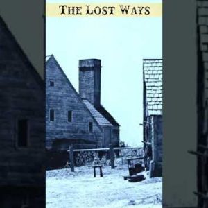 The Lost Ways Best Survival Book (06) #Shorts