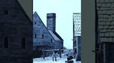 The Lost Ways Best Survival Book (06) #Shorts