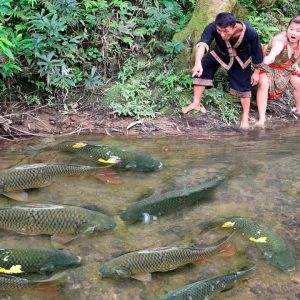 Survival Skills : Survival Challenge In The Rainforest Search For Food Meet Fish