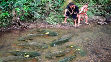 Survival Skills : Survival Challenge In The Rainforest Search For Food Meet Fish
