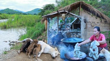 Survival skills - woman found pig uterus for cook & give food to animals - Eating delicious