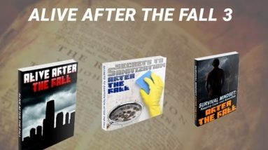 Alive After The Fall 3 Review