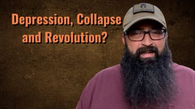 Depression, Collapse and Revolution?