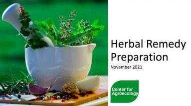 DIY Herbal Remedy Preparation