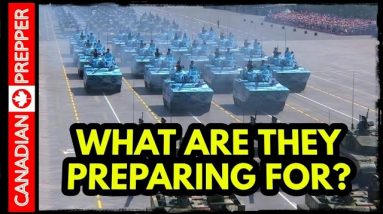 Governments are Warning Their People to Stockpile Food