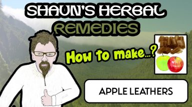 How To Make Apple Leathers - Shaun's Herbal Remedies