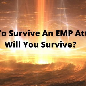 How To Survive An EMP Attack- Will You Survive ?