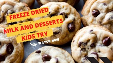 Kids Try Freeze Milk and Desserts //4Patriots Food Review // Emergency Food