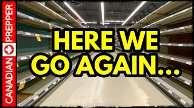 Last Chance to Stock Up Before the Whole Thing Crashes (Again)