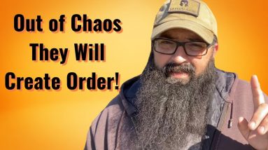 Out of Chaos They Will Create Order!