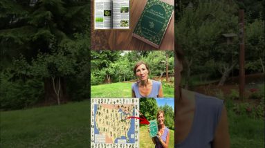 The Lost Book of Remedies 3