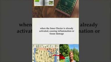 The Lost Book Of Remedies Herbal Medicine (18) #Shorts