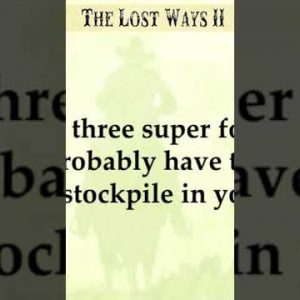 The Lost Ways II Survival Book (06) #Shorts