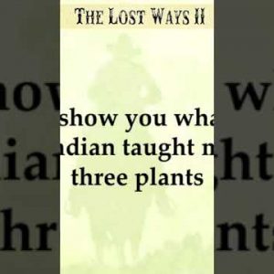 The Lost Ways II Survival Book (07) #Shorts